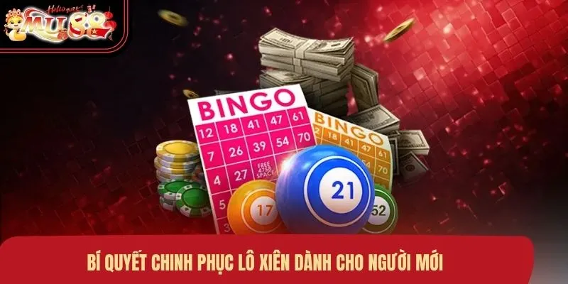 bi-quyet-chinh-phuc-lo-xien-danh-cho-nguoi-moi Bí quyết chinh phục lô xiên dành cho người mới