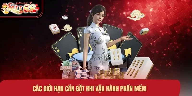 cac-gioi-han-can-dat-khi-van-hanh-phan-mem Các giới hạn cần đặt khi vận hành phần mềm