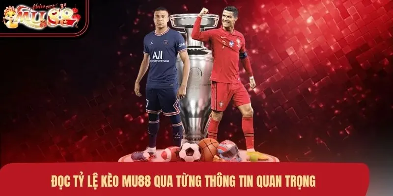 Đọc tỷ lệ kèo MU88 qua từng thông tin quan trọng
