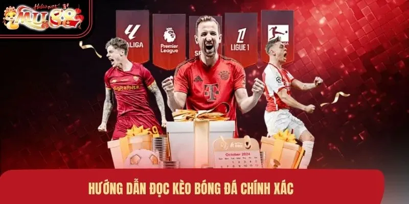 huong-dan-doc-keo-bong-da-chinh-xac hướng dẫn đọc kèo bóng đá chính xác