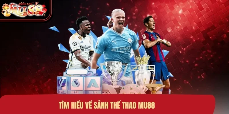 tim-hieu-ve-sanh-the-thao-mu88 Tìm hiểu về sảnh thể thao MU88