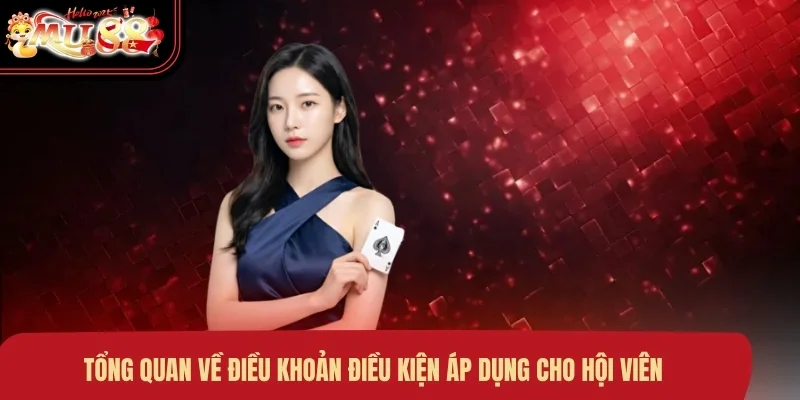 tong-quan-ve-dieu-khoan-dieu-kien-ap-dung-cho-hoi-vien Tổng quan về điều khoản điều kiện áp dụng cho hội viên